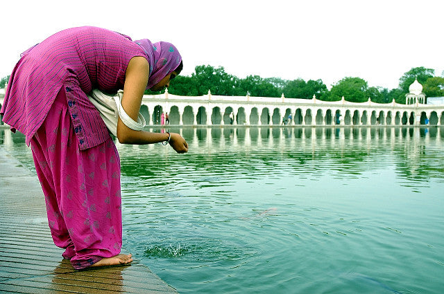 Go Greener By Conserving Water With These Eco-Friendly Tips!