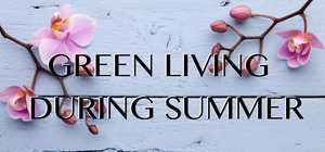 Summer Time Fun In The Sun - Summer Green Living Ideas
