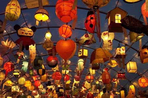 Now shipping to South Korea – Sckoon Organics